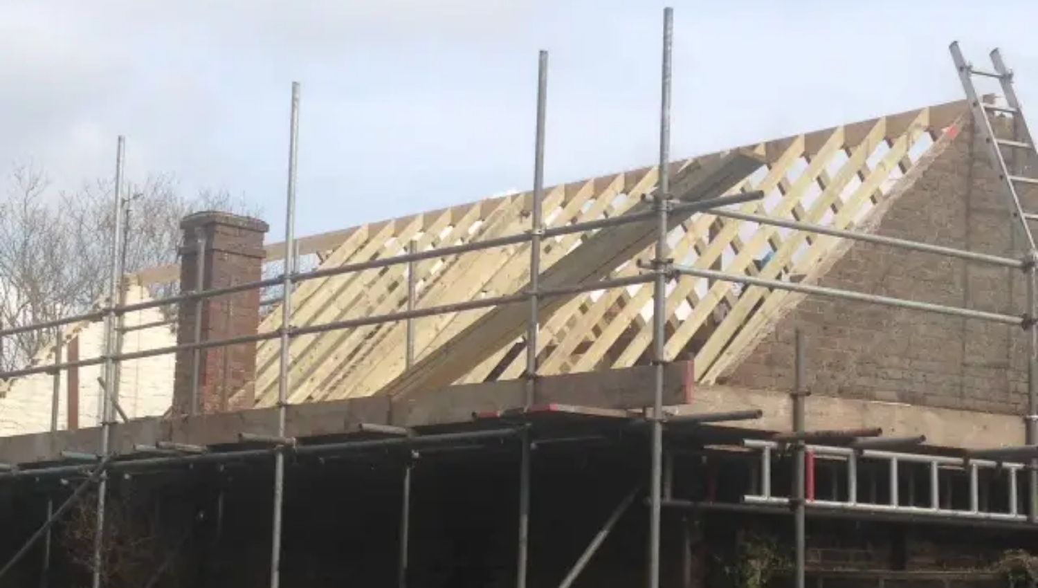 new roof image