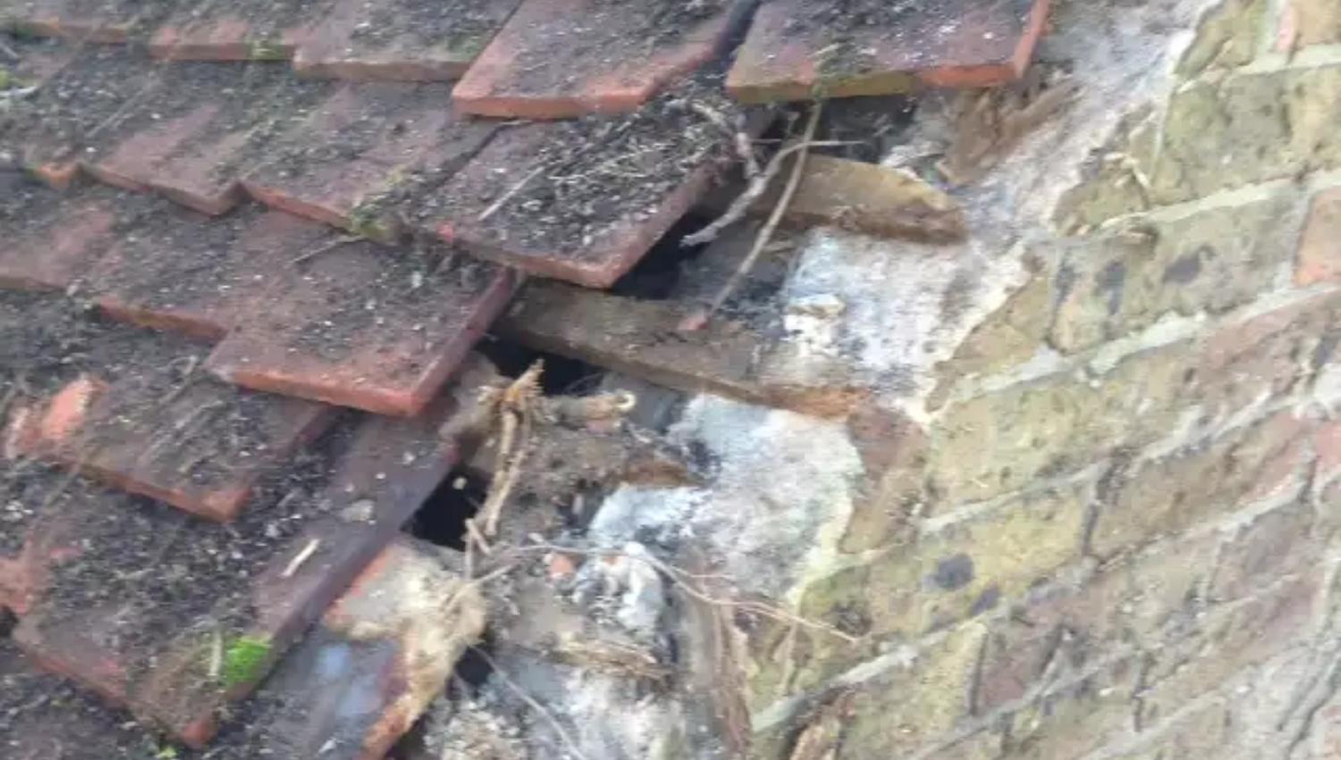 roof repair image